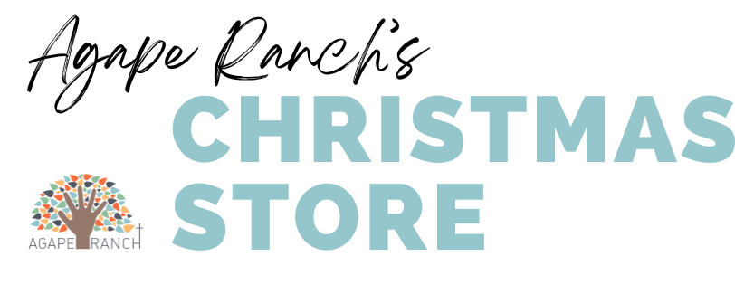 2026 Christmas Store Gift Partner